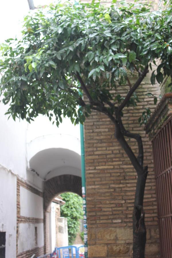 Apartmán Loft Turistico En Casco Historico, Wifi Y Tv Satelite Gratis Córdoba Exteriér fotografie