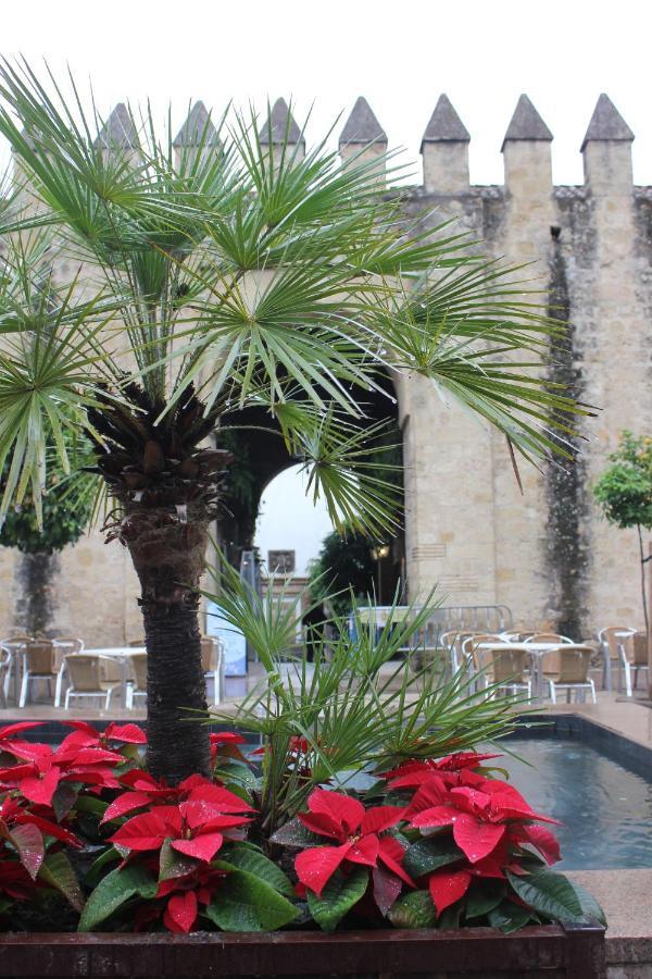 Apartmán Loft Turistico En Casco Historico, Wifi Y Tv Satelite Gratis Córdoba Exteriér fotografie
